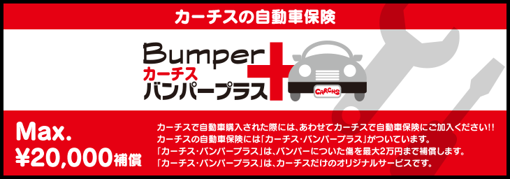 Bumper plus img header