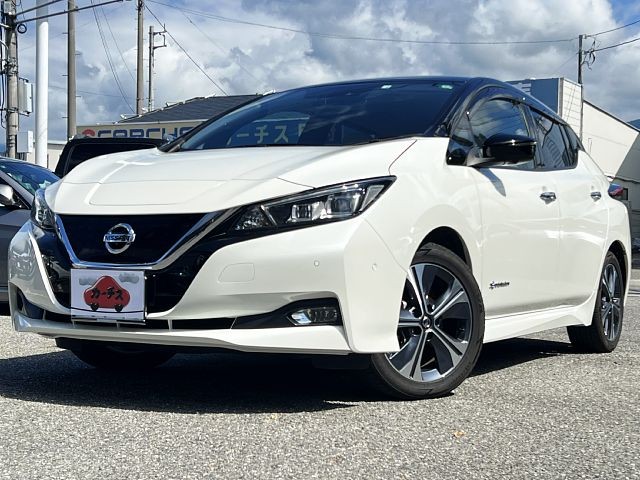 Nissan leaf 2018