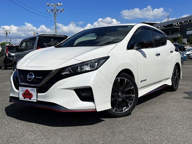 Nissan leaf 2019