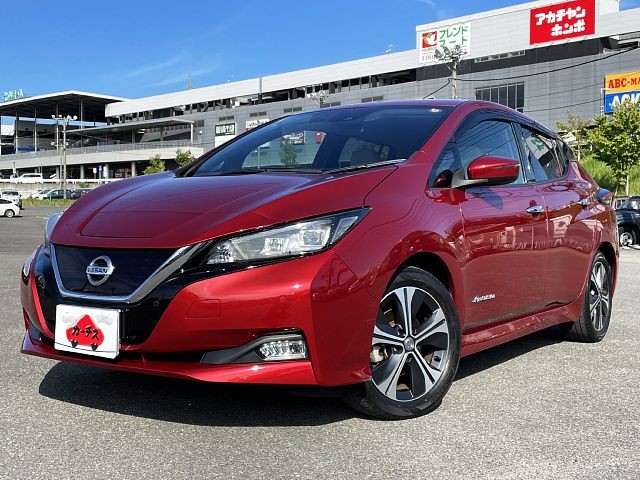 Nissan leaf 2018